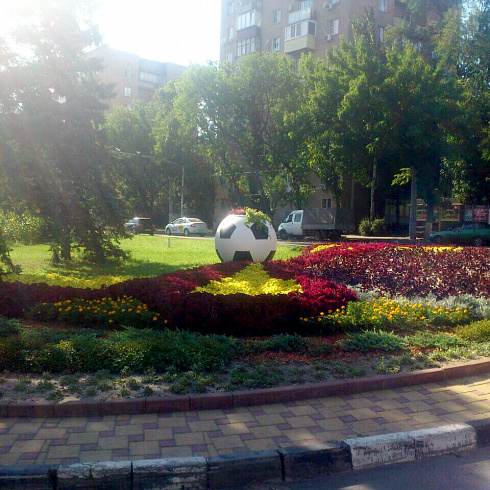 Цветочницы Футбольные мячи в Ростове