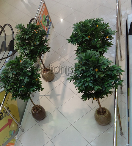 цветочницы в интерьере торгового центра