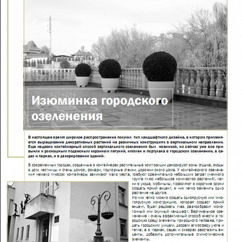 Новые публикации о нас